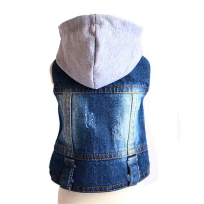 PawVibe Denim Jacket – Cool & Comfy Jean Style for Trendy Pups